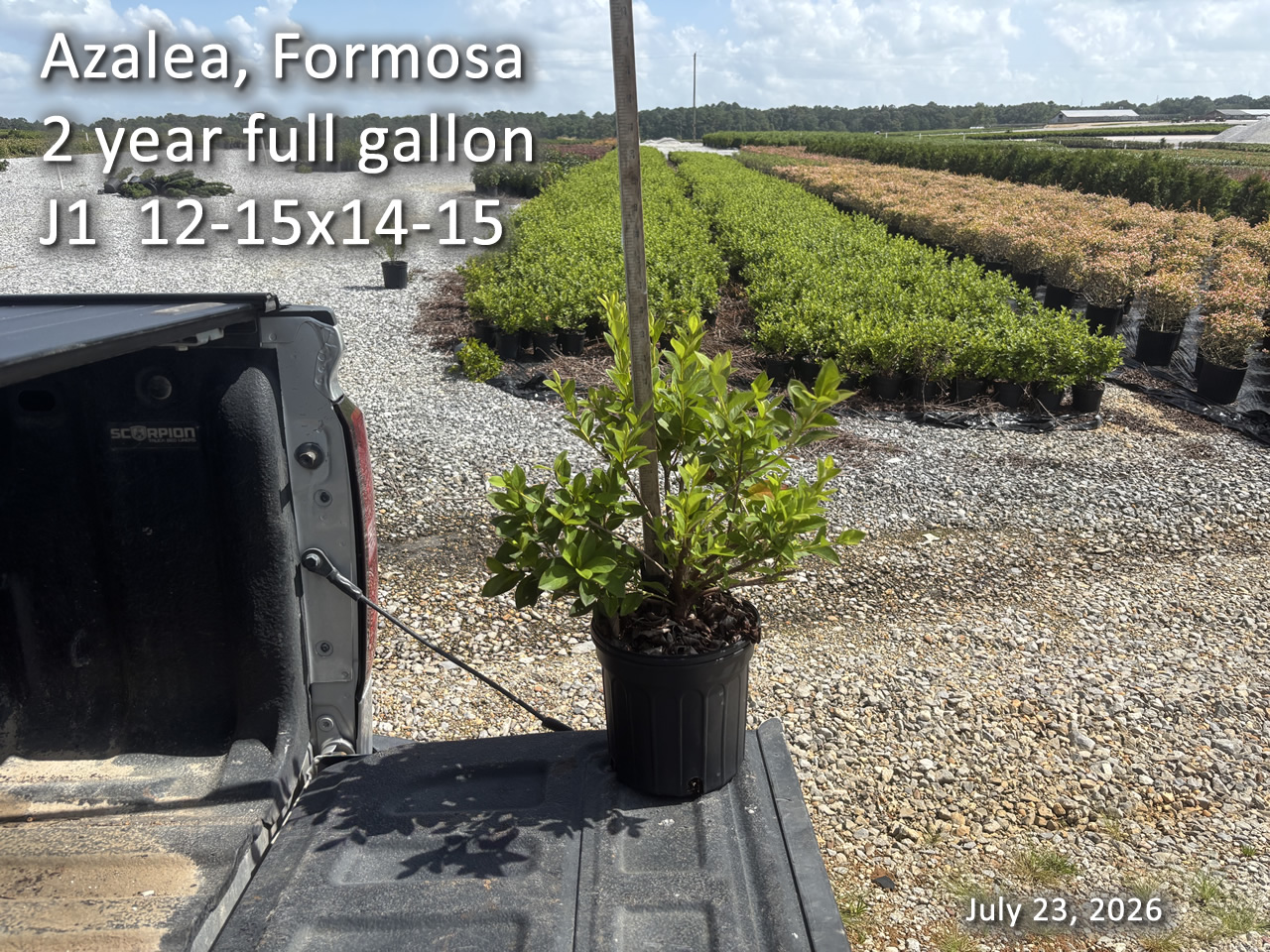 gallery/form2yf j1 jul23.jpg